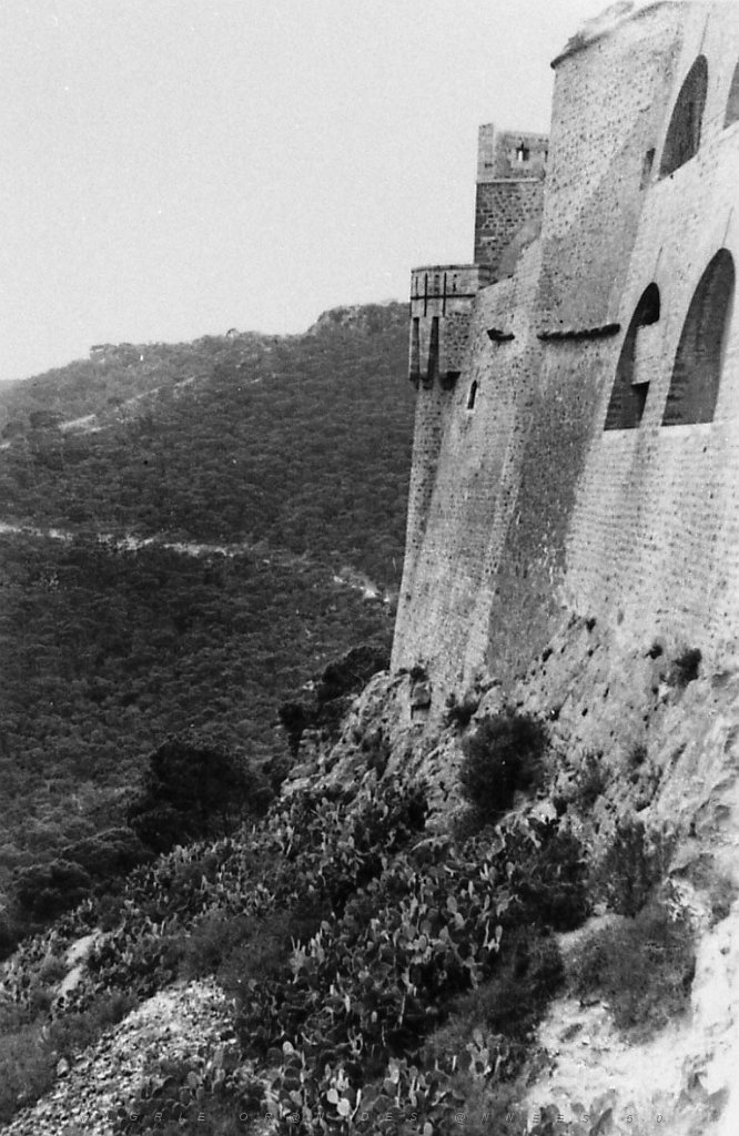 ORAN 02413.jpg